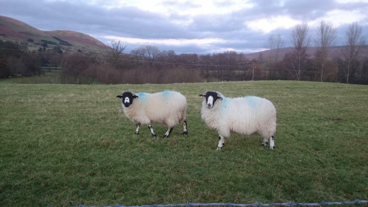 La'Al Yam Vila Sedbergh Exterior foto